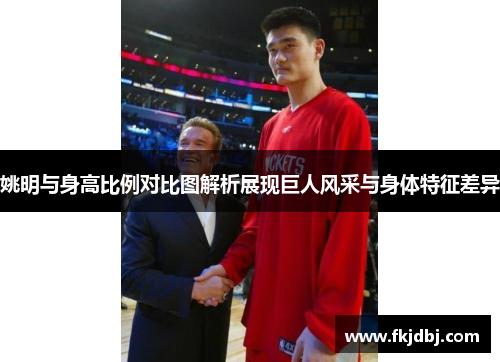 姚明与身高比例对比图解析展现巨人风采与身体特征差异
