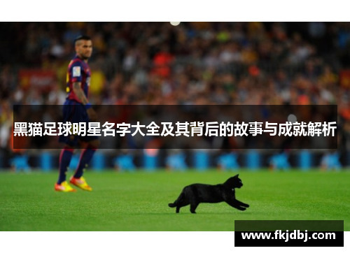 黑猫足球明星名字大全及其背后的故事与成就解析