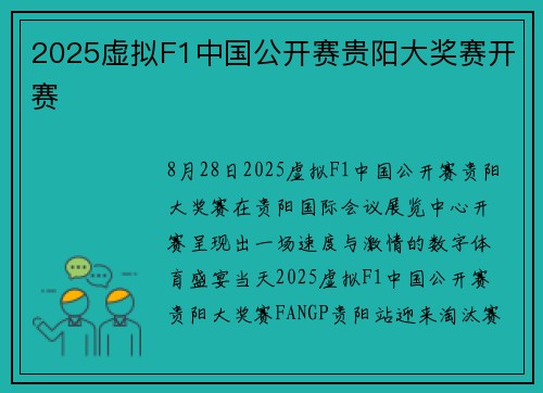 2025虚拟F1中国公开赛贵阳大奖赛开赛